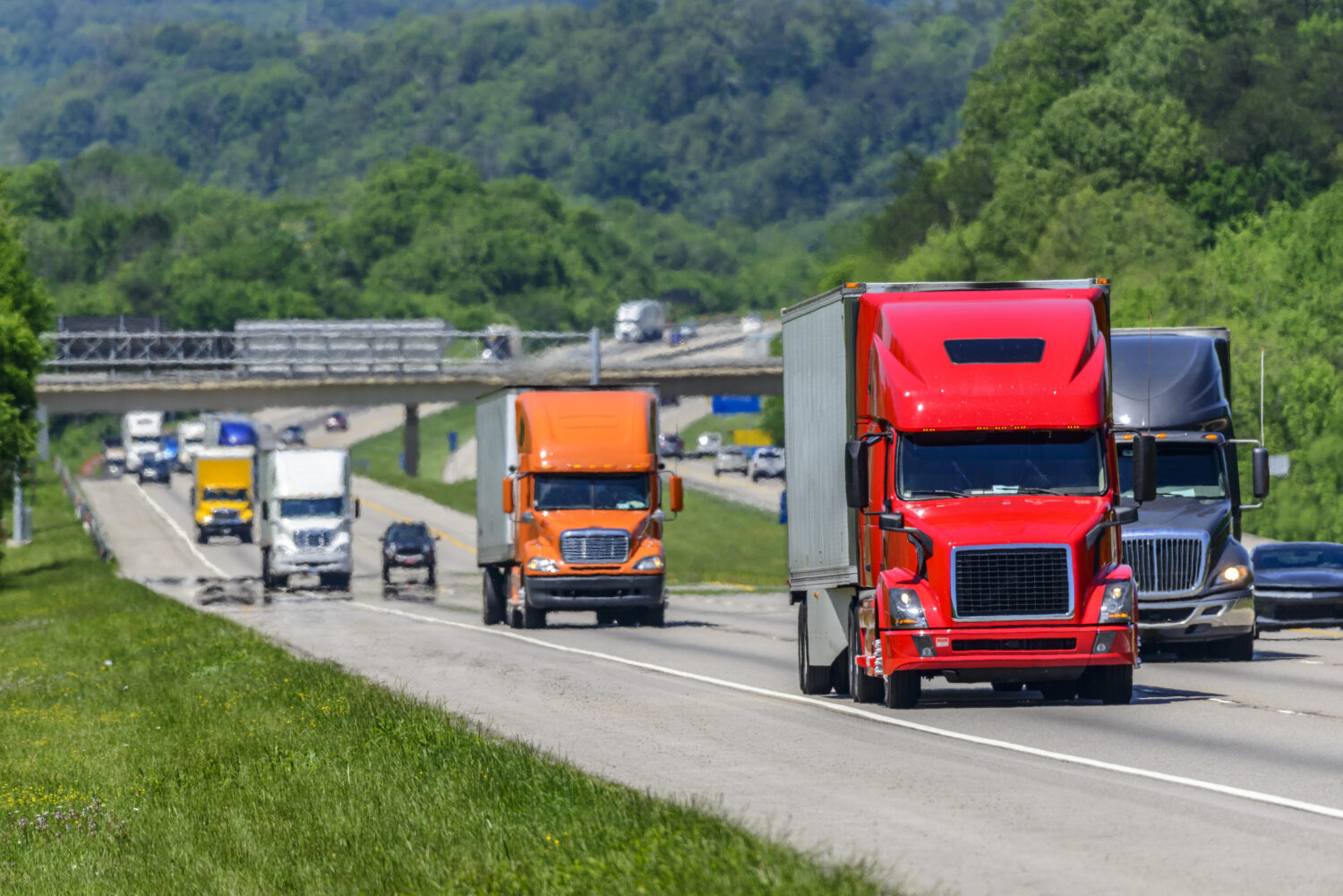 Freight vs. Shipping: Understanding the Key Differences